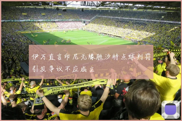 伊万直言印尼无缘胜沙特点球判罚引发争议不应成立