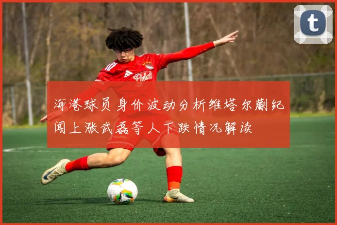 海港球员身价波动分析维塔尔蒯纪闻上涨武磊等人下跌情况解读